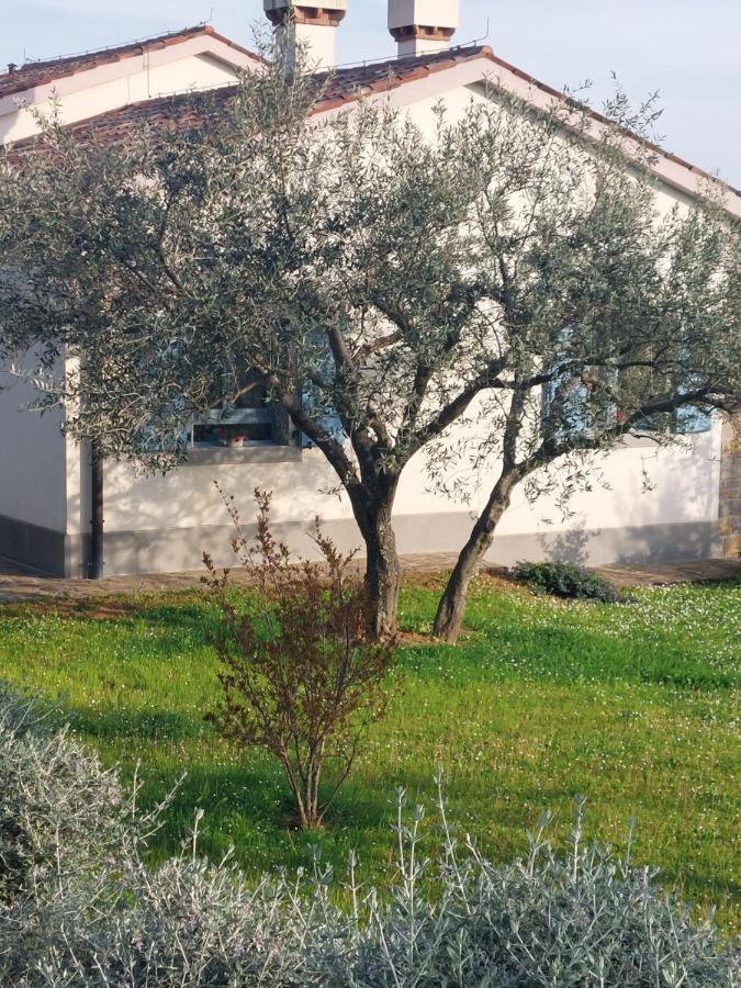 Apartment Kortine Sečovlje 外观 照片
