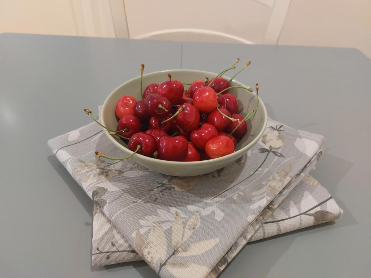 Apartment Kortine Sečovlje 外观 照片
